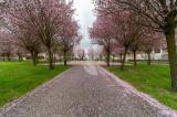 Appartamento, PARMA, 290.000 €, 121,00 mq