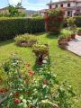 Appartamento, ROCCASTRADA, 215.000 €, 160,00 mq