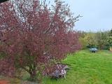 Appartamento, AREZZO, Agazzi, 240.000 €, 140,00 mq