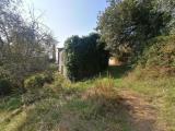 Casa, LUCCA, 350.000 €, 274,00 mq