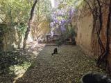 Appartamento, FIRENZE, 398.000 €, 80,00 mq