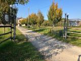Casa, PIACENZA, Borghetto, 560.000 €, 250,00 mq