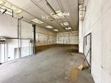 Superfici commerciali, CAMPI BISENZIO, 350.000 €, 331,00 mq