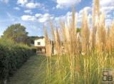 Casa, EMPOLI, 598.000 €, 330,00 mq