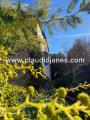 Casa, GENOVA, Crevari, 425.000 €, 180,00 mq