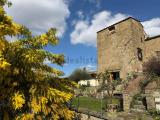Appartamento, FIESOLE, 395.000 €, 80,00 mq