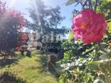 Appartamento, LIVORNO, 290.000 €, 175,00 mq