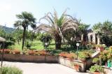 Casa, ORVIETO, 280.000 €, 215,00 mq