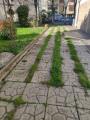 Casa, CASTELFIORENTINO, 249.000 €, 200,00 mq