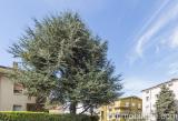 Appartamento, VERONA, Ponte Crencano, 295.000 €, 130,00 mq