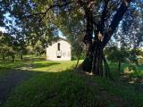 Casa, SOMMA VESUVIANA, 450.000 €, 50,00 mq