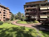 Appartamento, MONZA, 85.000 €, 30,00 mq
