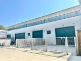 Superfici commerciali, NETTUNO, 220.000 €, 300,00 mq