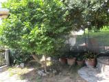 Casa, BIENTINA, 150.000 €, 120,00 mq