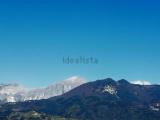 Superfici commerciali, MASSA, Centro, 250.000 €, 170,00 mq