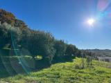 Casa, PETACCIATO, 400.000 €, 150,00 mq
