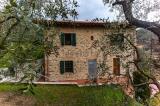 Casa, BUGGIANO, 530.000 €, 234,00 mq