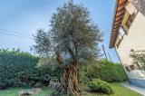 Casa, CORSICO, 950.000 €, 400,00 mq