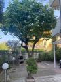 Appartamento, RICCIONE, 229.000 €, 50,00 mq