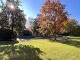 Appartamento, CASTELFRANCO VENETO, 400.000 €, 275,00 mq