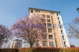 Appartamento, SEGRATE, 840.000 €, 180,00 mq