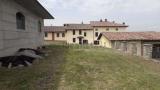 Casa, ZIANO PIACENTINO, 1.400.000 €, 1200,00 mq