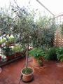 Appartamento, FIRENZE, 520.000 €, 85,00 mq