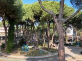 Appartamento, CERVIA, 650.000 €, 120,00 mq