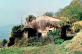 Casa, UZZANO, 299.000 €, 250,00 mq