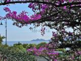 Appartamento, RAPALLO, 670.000 €, 90,00 mq