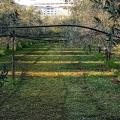 Casa, BARLETTA, 295.000 €, 135,00 mq