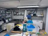 Superfici commerciali, PARMA, 430.000 €, 270,00 mq