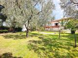 Casa, PISA, Tirrenia, 610.000 €, 180,00 mq