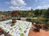 Appartamento, CAPALBIO, 310.000 €, 113,00 mq