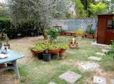Casa, PONTEDERA, 280.000 €, 180,00 mq