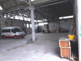 Superfici commerciali, CALCINAIA, 1.000.000 €, 2380,00 mq