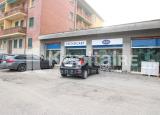 Superfici commerciali, CASTENASO, 300.000 €, 180,00 mq