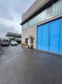 Superfici commerciali, ALBANO SANT