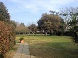 Casa, GROSSETO, 550.000 €, 270,00 mq