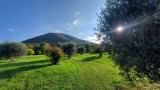Superfici commerciali, ROVOLON, 800.000 €, 600,00 mq