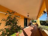 Casa, NETTUNO, 310.000 €, 245,00 mq