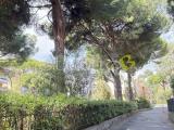 Appartamento, BORDIGHERA, 249.000 €, 86,00 mq