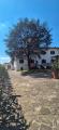 Casa, PRATO, 2.000.000 €, 800,00 mq
