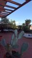 Appartamento, CARRARA, 620.000 €, 190,00 mq