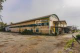 Superfici commerciali, ROMA, 3.000.000 €, 1100,00 mq