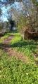 Appartamento, SAN CASCIANO IN VAL DI PESA, 260.000 €, 150,00 mq