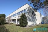 Superfici commerciali, MOZZATE, 1.850.000 €, 2900,00 mq