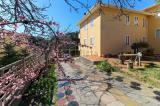 Casa, ROSIGNANO MARITTIMO, 750.000 €, 200,00 mq