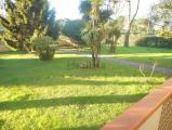 Appartamento, MASSA, Marina di Massa, 320.000 €, 130,00 mq