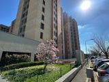 Appartamento, MILANO, Crescenzago, 459.000 €, 112,00 mq